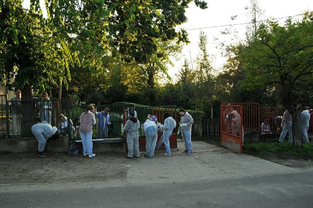 Ricoh Hungary dolgozói Óvoda kerítést festenek