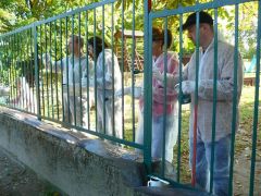Ricoh Hungary dolgozói Óvoda kerítést festenek